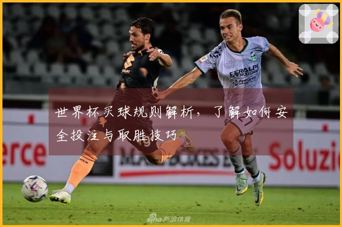 世界杯买球规则解析，了解如何安全投注与取胜技巧