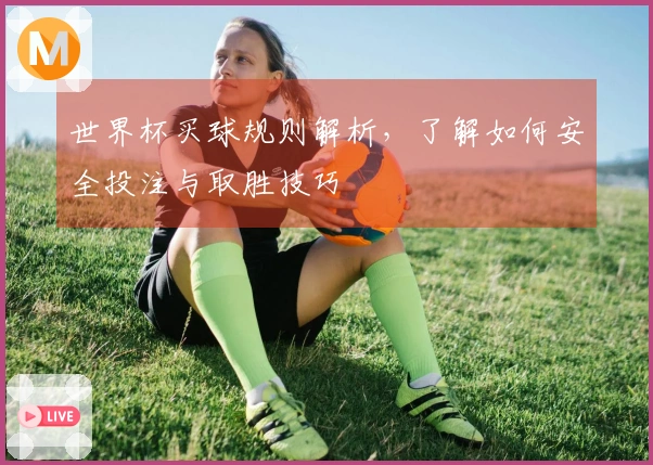 世界杯买球规则解析，了解如何安全投注与取胜技巧
