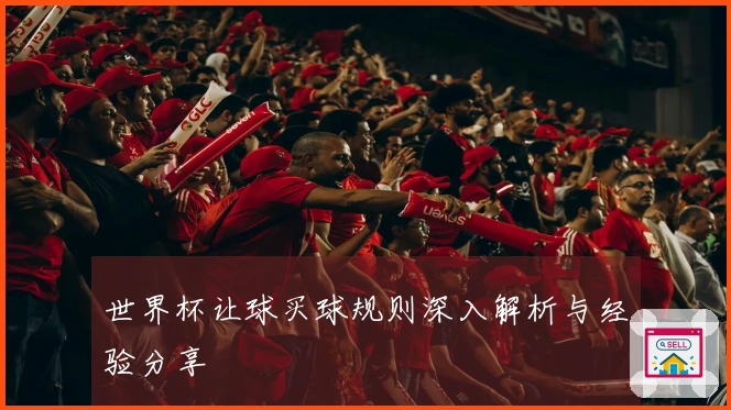 世界杯让球买球规则深入解析与经验分享