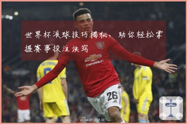 世界杯滚球技巧揭秘，助你轻松掌握赛事投注诀窍