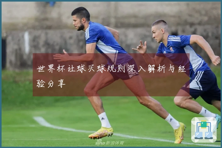 世界杯让球买球规则深入解析与经验分享