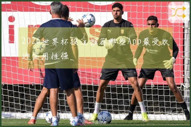 2026世界杯投注推荐哪些App最受欢迎实用性强